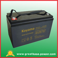 110Ah 12V Tiefzyklus Bleisäure AGM Boden Waschmaschine Batterie Golf Cart Batterie